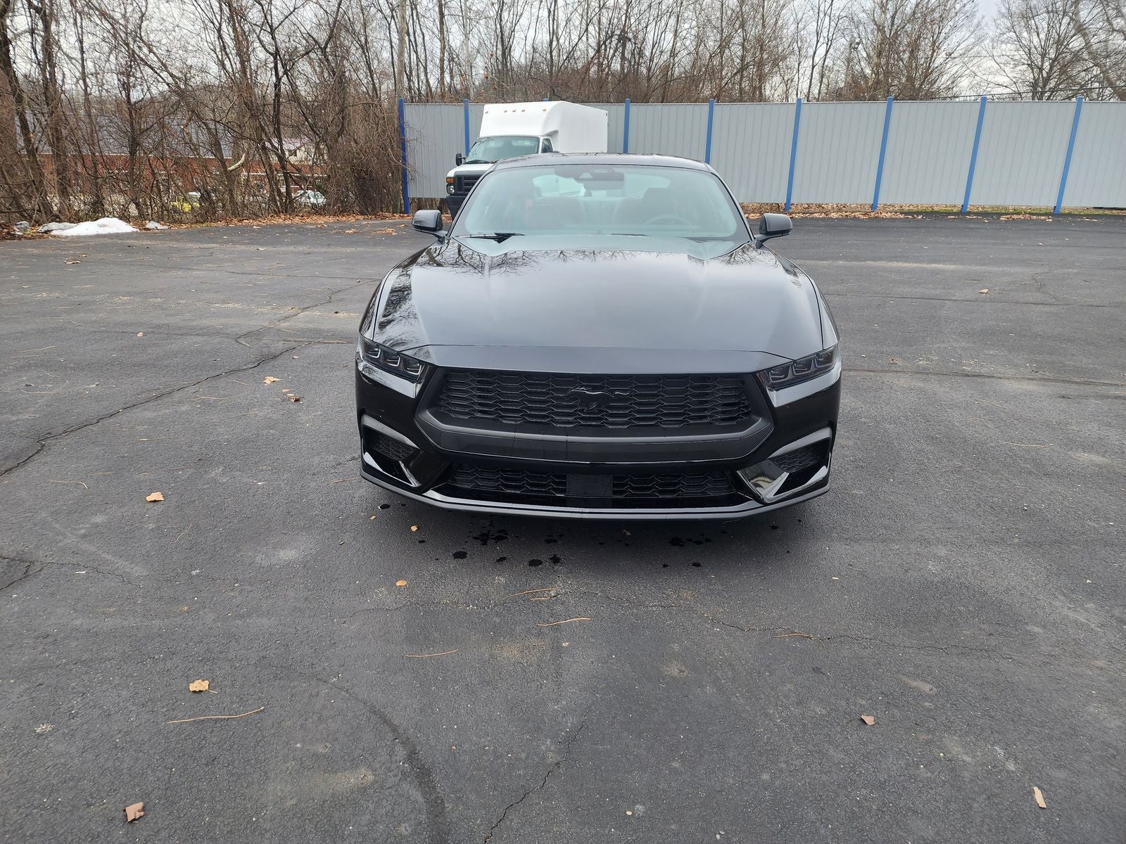 2026 Ford Mustang EcoBoost® Premium Fastback